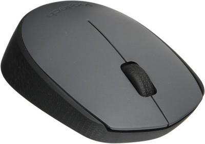 Logitech M170 Wireless Mouse (No Receiver) (/RT6-14796-M170-UG)