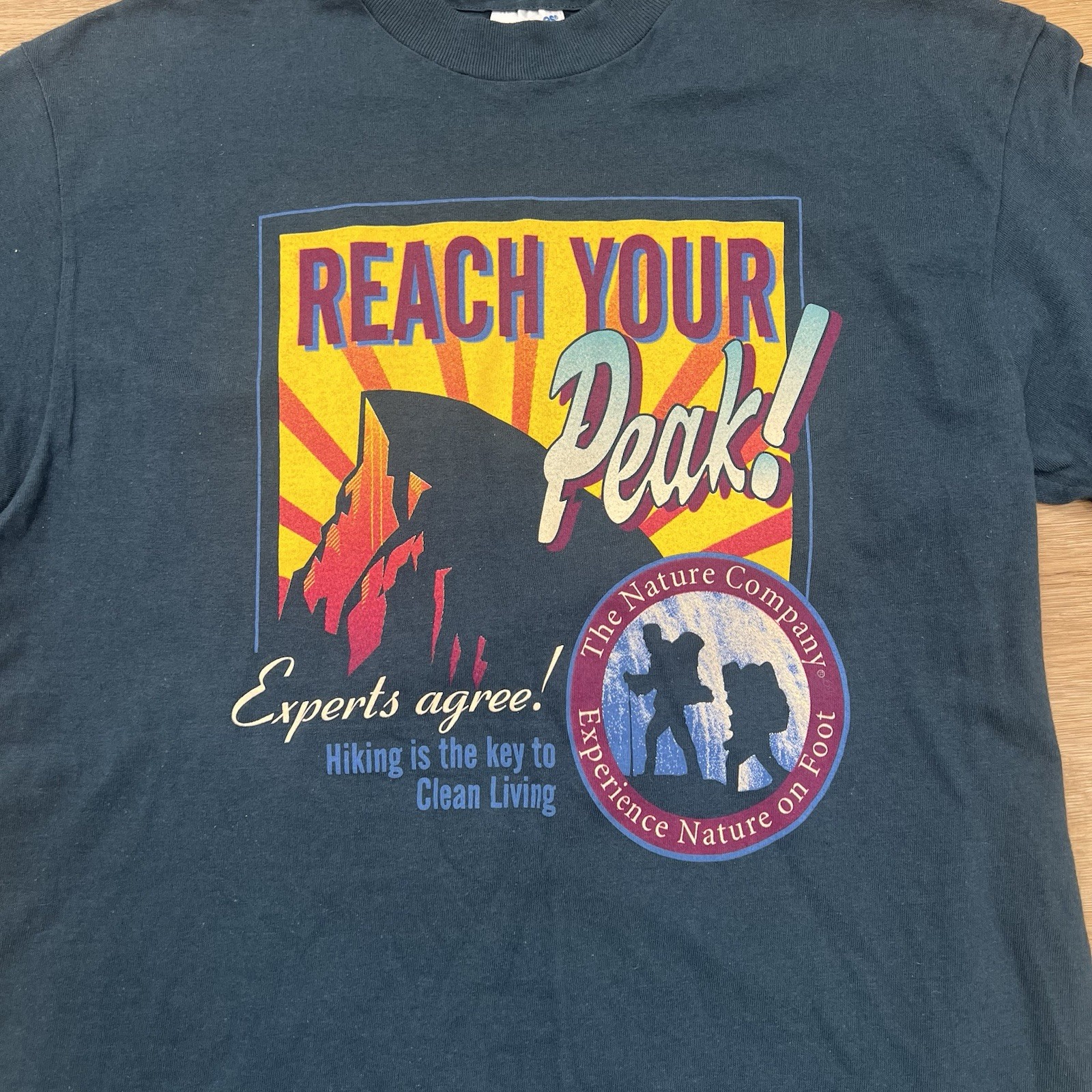 Blue Vintage Single Stitched Hiking T-shirt The Nature Company Reach Your Peak