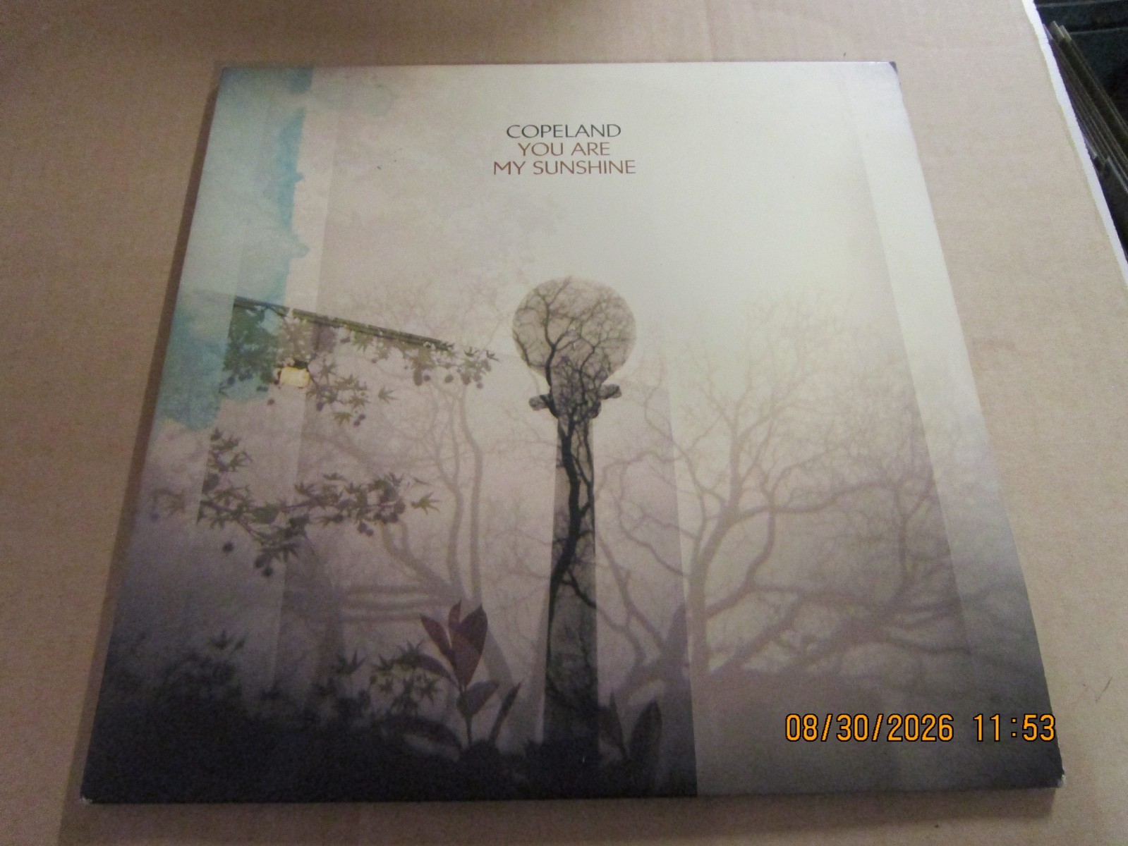 COPELAND You Are My Sunshine BROWN SWIRL 180 GRAM 2XLP Used! 2014 SRC Vinyl