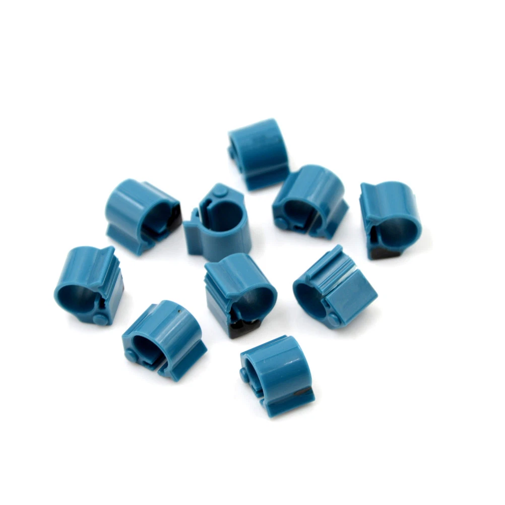 Update 157+ bird ring tag super hot netgroup.edu.vn