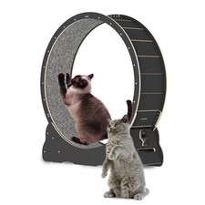 Black Cat Running Wheel Low Noise Spinning for Indoor Cat Sport NEW