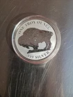 Buffalo Indian 1oz Silver Round
