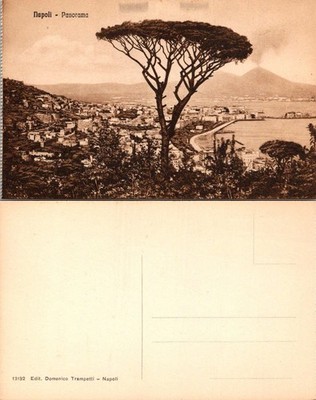 Napoli Panorama Postcard Italy Unposted Vintage Sepia Domenico Trampetti 13132