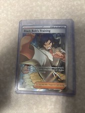 FREE SHIPPING Black Belts Training 255/217 Full Art Ascended Heroes