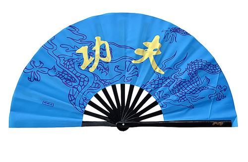 Tai Chi Wu Shu Kampfkunst Tanz Magie Bambus Knochen Drachenmuster ""Kung Fu"" Fan