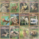 Magazine - Living Countryside Nature Guide UK Contents Index Shown - Various