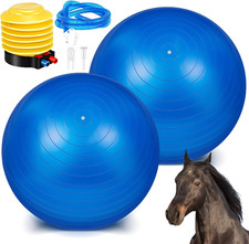 2 Pcs 40 Inch Horse Ball for Play Large Horse Big Equine Herding anti Burst Dog