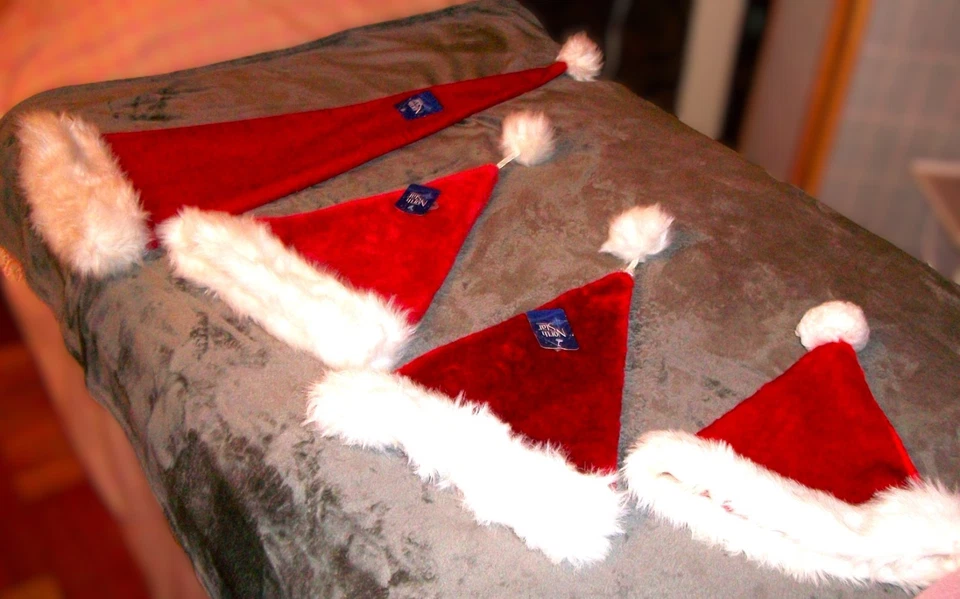 Lote de 4 Sombreros Medias de Terciopelo de Papá Noel - Rojo Clásico con Piel Blanca Foto 2 de 4