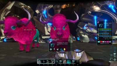 Zuckerwatte Bison Zuchtpaar PVE 