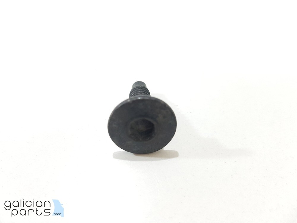 46430568 Tornillo M6 moldura portón trasero Fiat Punto GT /Lancia 