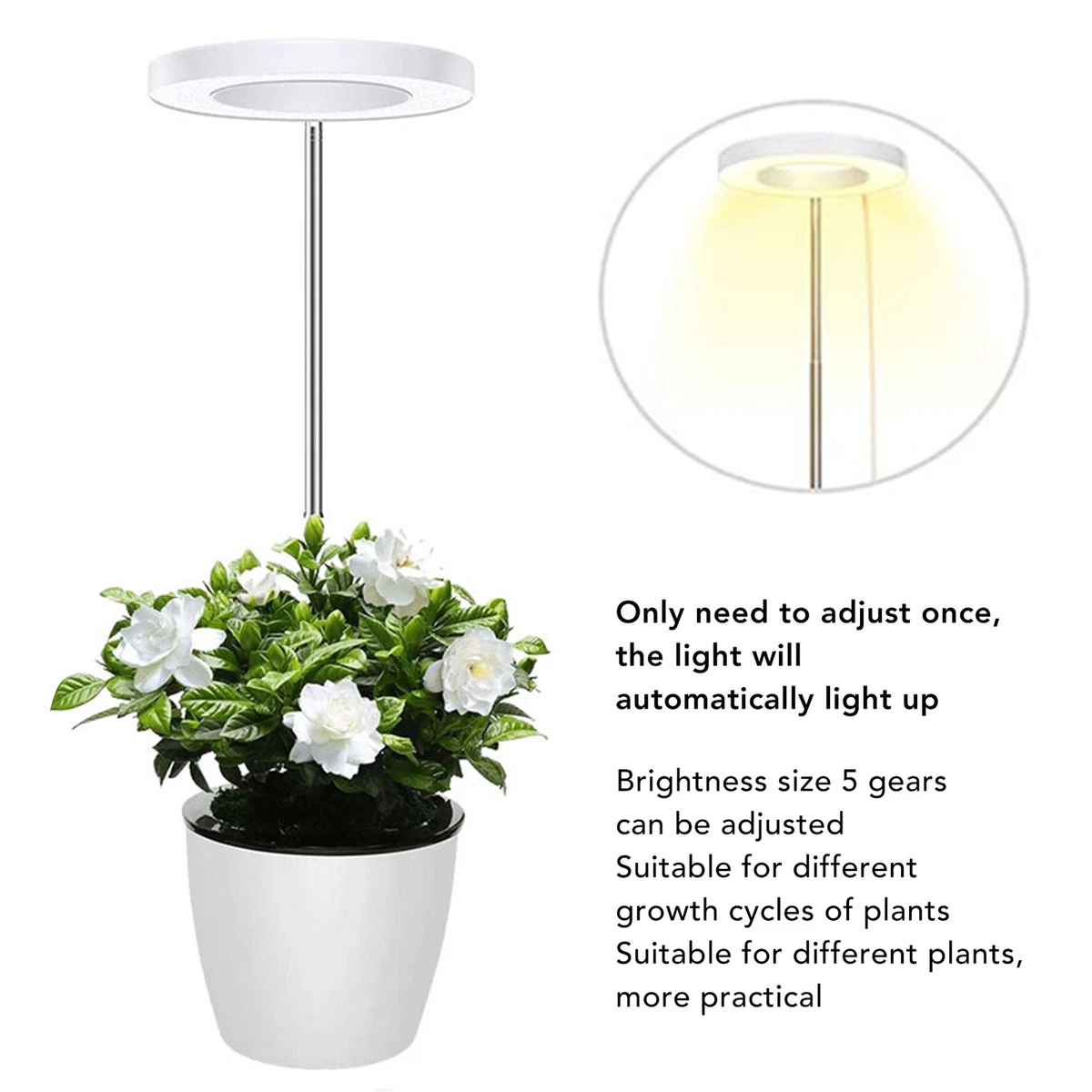 Round Plant Light Stretchable Full Spectrum LED Plant Grow Lights
