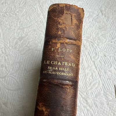 1st Ed 1910 Le Chateau De La Belle-Au-Bois-Dormant Sleeping Beauty Castle Loti H