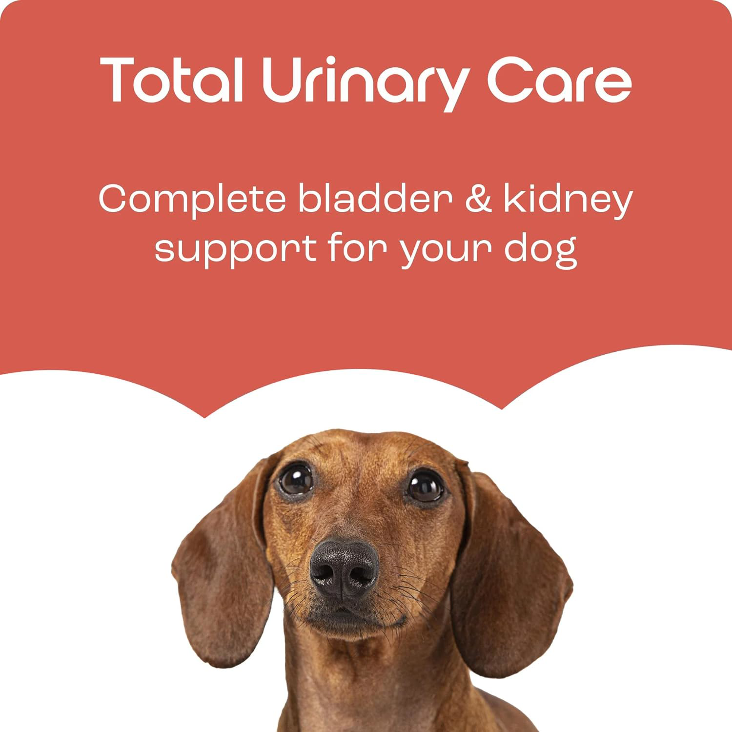 Total Urinary Care Dog UTI, Incontinence & Cystitis Relief Tablets