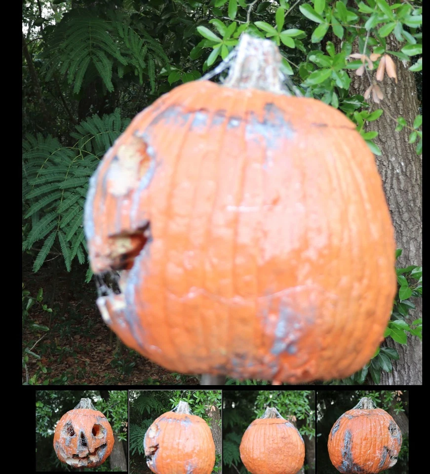 Máscara de calabaza Halloween Haunt látex miedo Jack O linterna podrida Foto 2 de 4