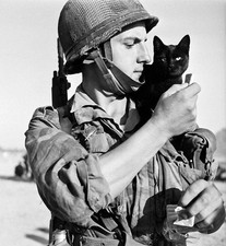 Dien Bien Phu Indo Bigeard BPC RPC casque Para TAP Légion BEP veste Indochine