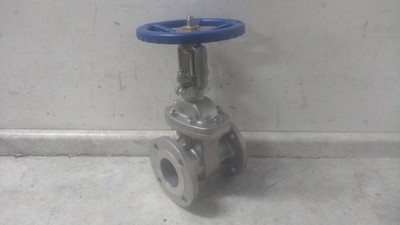 Sharpe 4371004860 3 In Flange Connection 316 Stainless Steel Gate Valve