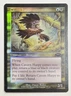 MTG CAVERN HARPY (FOIL) Planeshift (OldManMTG 002-589)