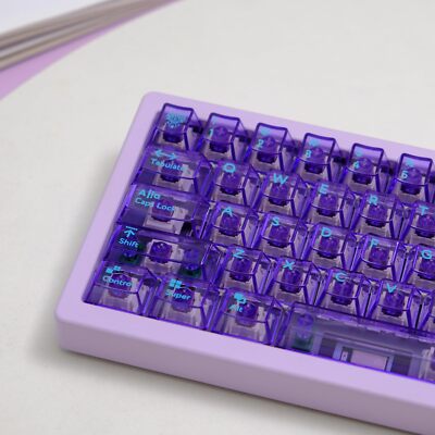 114 Keys Clear Keycaps PC Cherry Profile Transparent Keycaps Set Fit for 60% ...