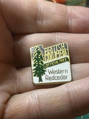 Western Red Cedar Official Tree Of British Columbia Canada Enaenl Pin **READ