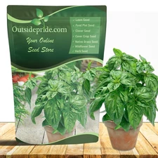 1 LB Basil Genovese Heirloom Herb Seeds For Sprouting & Microgreens
