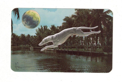 Original Cut & Paste Collage Mail Art Postcard Artist Signed Moon Dog Waning