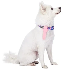  4 Patterns Multiple Hues Scottish Plaid Style Adjustable Tie Dog Collar, 