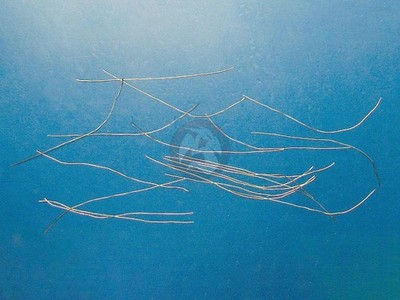 Plus Model Lead Wire (Diameter 0.6mm, Total Length 2.4m, 20 x 12cm Strands) 234