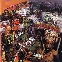 Fela Kuti - Upside Down - Vinyl Record 12 Record - F123Z