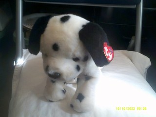 Vtg. Ty Beanie Buddies Plush Dotty the Dalmation Dog original tags