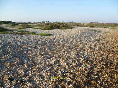 Photo 6x4 On the shingle at Dungeness There cannot be anywhere else in Br c2012