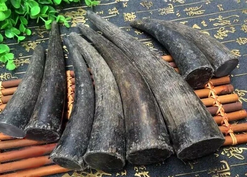 4Pcs Black Buffalo Horn Tip Solid Blank Knife Handle Seal Stick Craft DIY - Picture 2 of 3