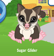 Webkinz Sugar Glider Virtual PET Adoption Code Only Messaged Webkinz Super Cute