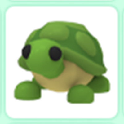 #ad Turtle Adopt right now $17.99