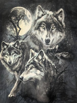 The Mountain Mens T-shirt Black 3 Three Wolf Moon Retired Logo 2XL #6435