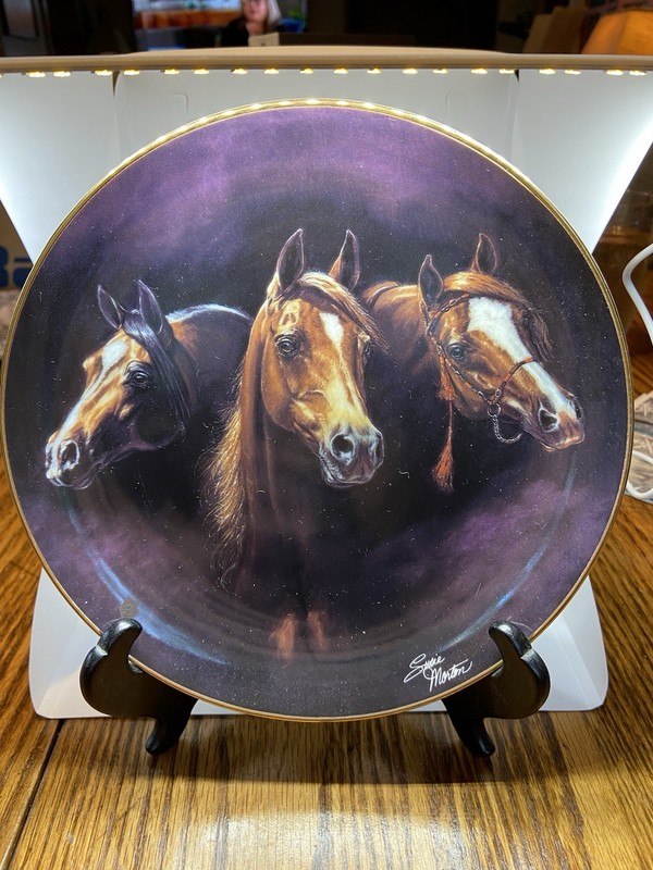 Entering the Light Horse Porcelain Plate by Susie Morton