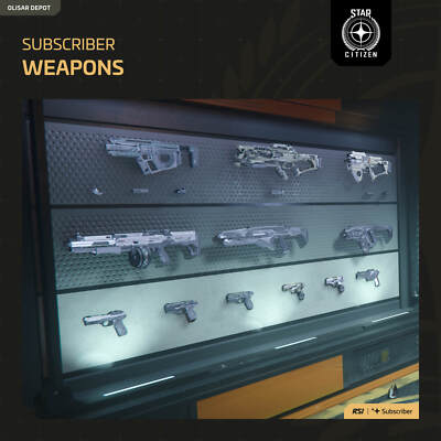 Pack D'armes FPS Subscriber Store Pour Star Citizen - PC - MMORPG Simulation - Neuf Scellé