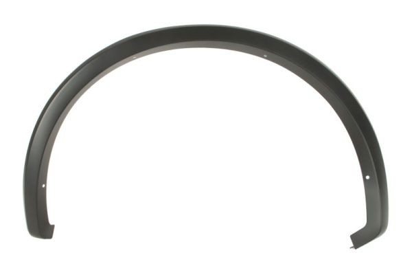 Left Rear BLIC 5703-08-2593373P Trim/Protection Strip, wing for FORD USA