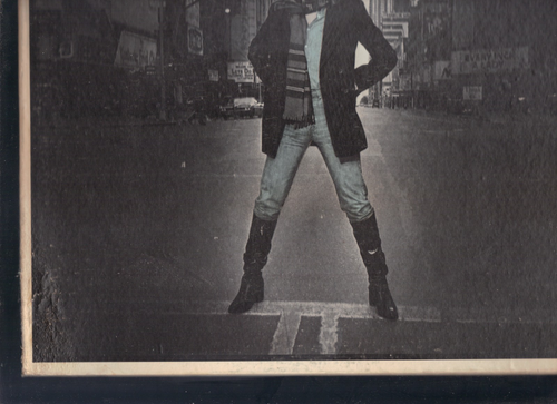 ELLIOTT MURPHY - Night Lights - RCA 70s rock LP - NICE - Picture 2 of 4