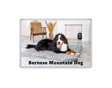 Bernese Mountain Dog - Dog Large Fridge Magnet - Pet Animal Novelty Gift