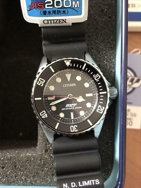 Citizen Promaster Quartz Diver With 