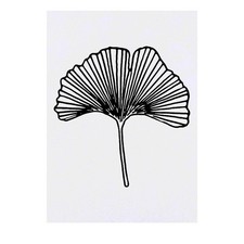 'Ginkgo Leaf' Temporary Tattoos / Transfers TO00026345 