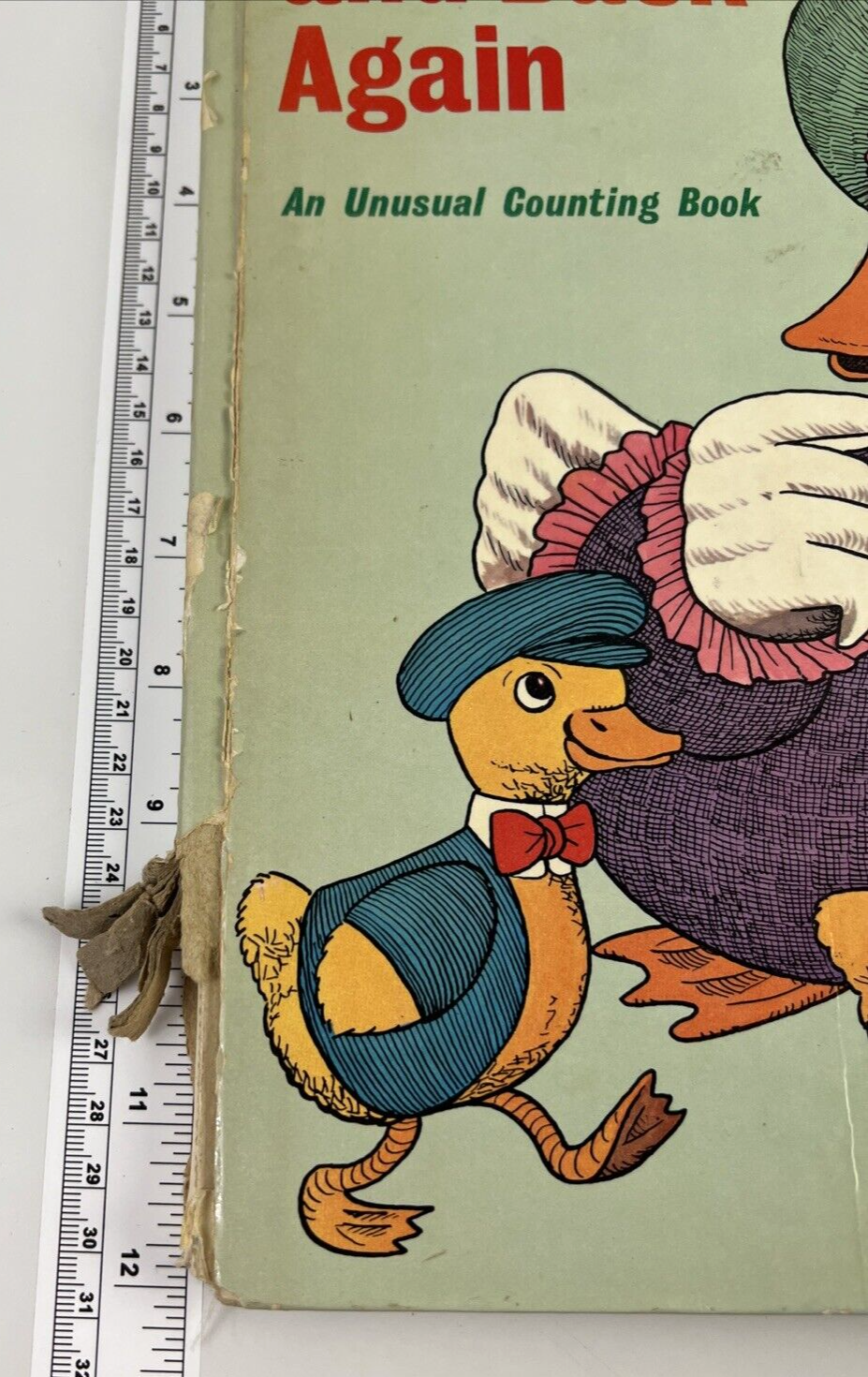 Picture 5 of 12