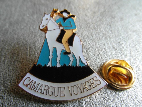 PINS COLLECTION TOTAL Asterix pin's vintage pin publicitaire EUR 7,75