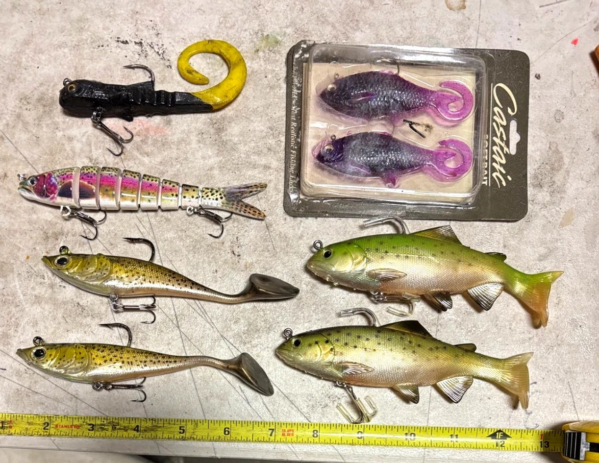 Leurre Souple Castaic Hardhead 8'' GEN 1 - Couleur Truite - Ailettes Flexibles - Neuf