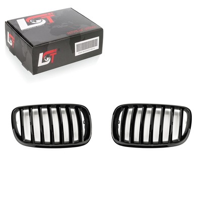 Kühlergrill Frontziergitter Nieren Einsteg Performance für BMW X6 E71 E72