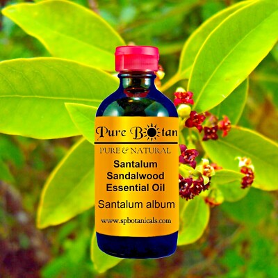 1oz 2oz 4oz 8oz 16oz · 50+ Bulk Essential Oils · Therapeutic Grade · 100% Pure