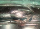Fruit-Keeper Green Glass Jar with Glass Lid Embossed “FRUIT-KEEPER” PINT No Bail — photo 8