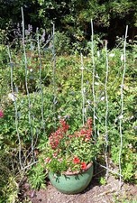 Bird and Leaf Trellis Pair Plant Support Stake in Verdigris - Garden Décor