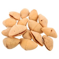  15 Pezzi Ciondolo a Ciotola di Noce per Giochi di Vento Charms Rustici in Noce