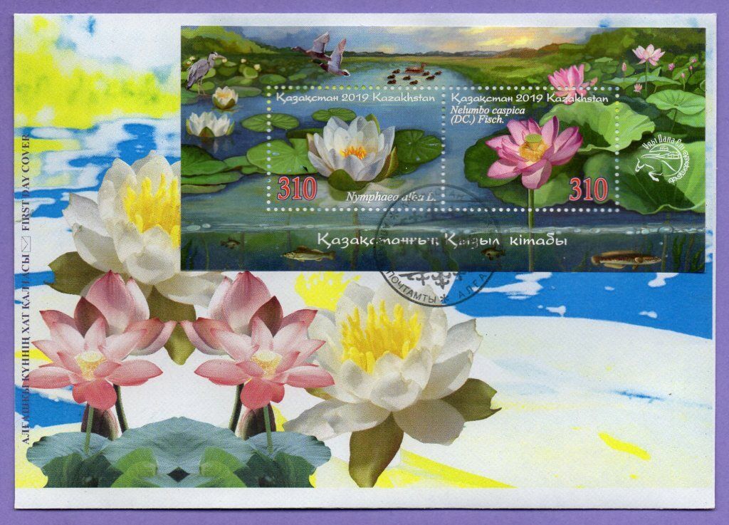 Kazakhstan 2019. FDC. Flora. Charlotte Mall Indian white lotus. European water cheap